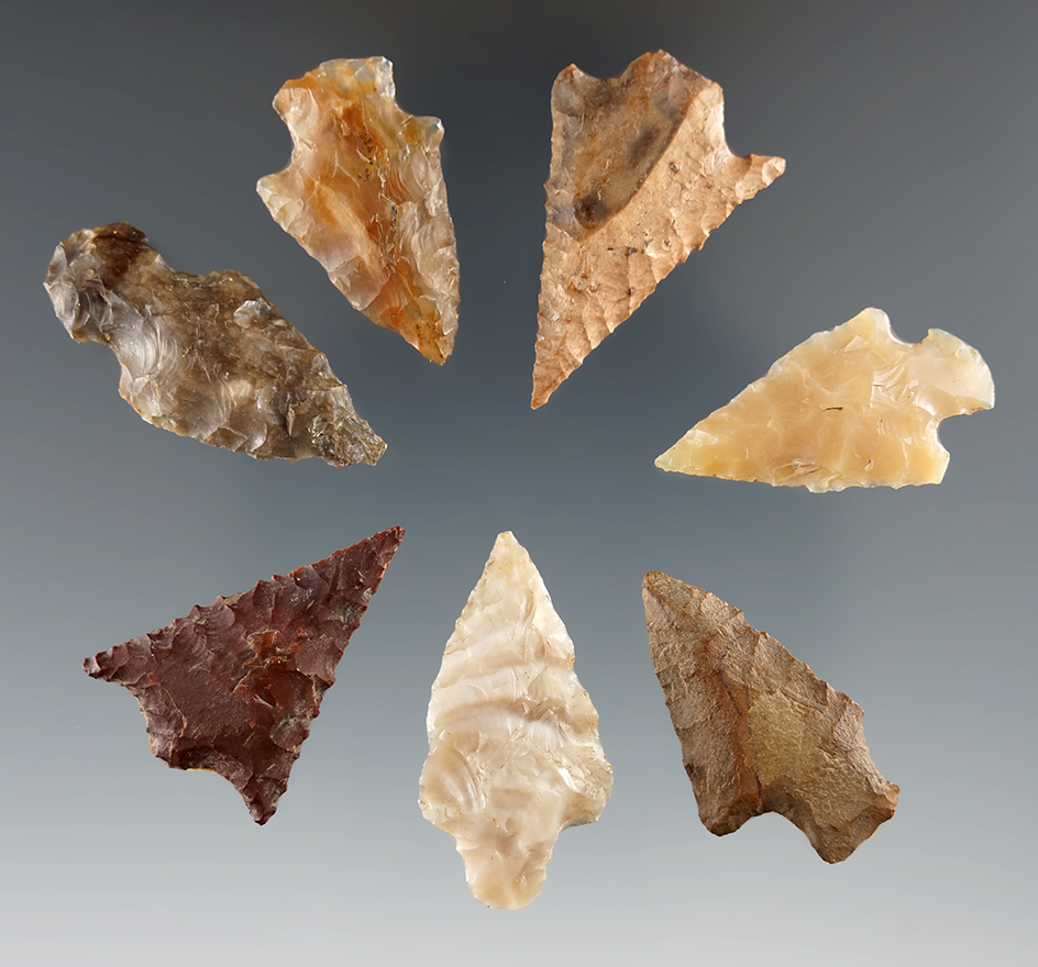 Set of seven assorted Columbia River arrowheads, largest is 1 1/4".