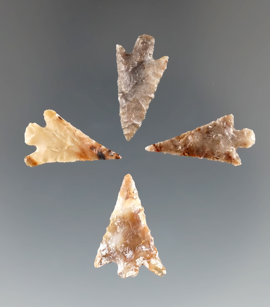 Set of four Columbia River gem points found in Washington, largest is 7/8".