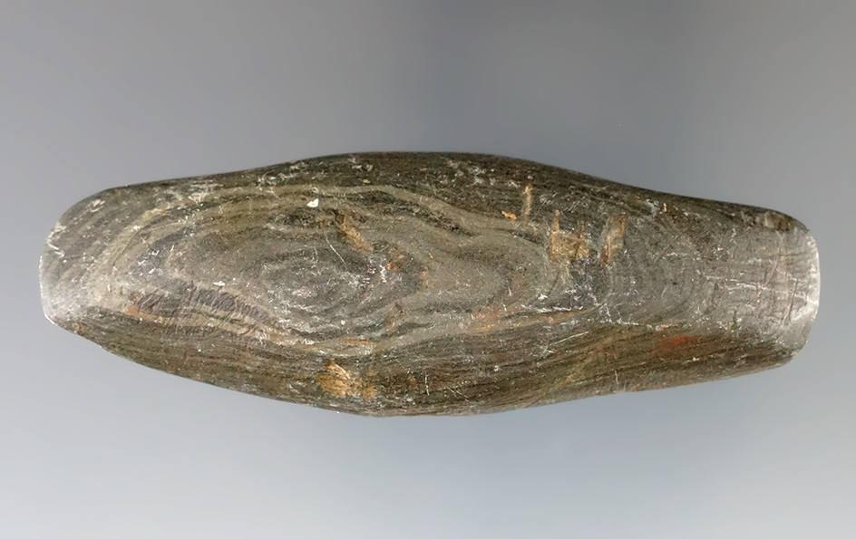 3 1/4" Undrilled Adena Expanded Center Gorget made from Mottled Slate,  Fairfield Co., Ohio.
