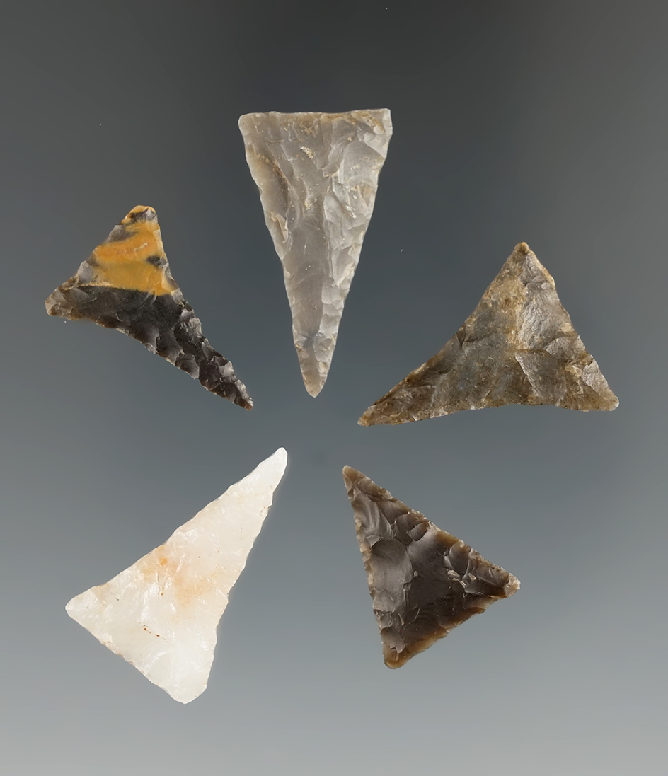 Set of five nice triangle points found near Hiawassee Island, Meigs Co., Tennessee.