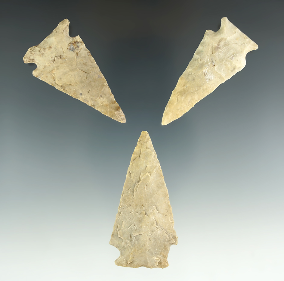 Ex. Museum! Set of three Ensor Points found in Texas in nice condition, largest is 2 3/8".