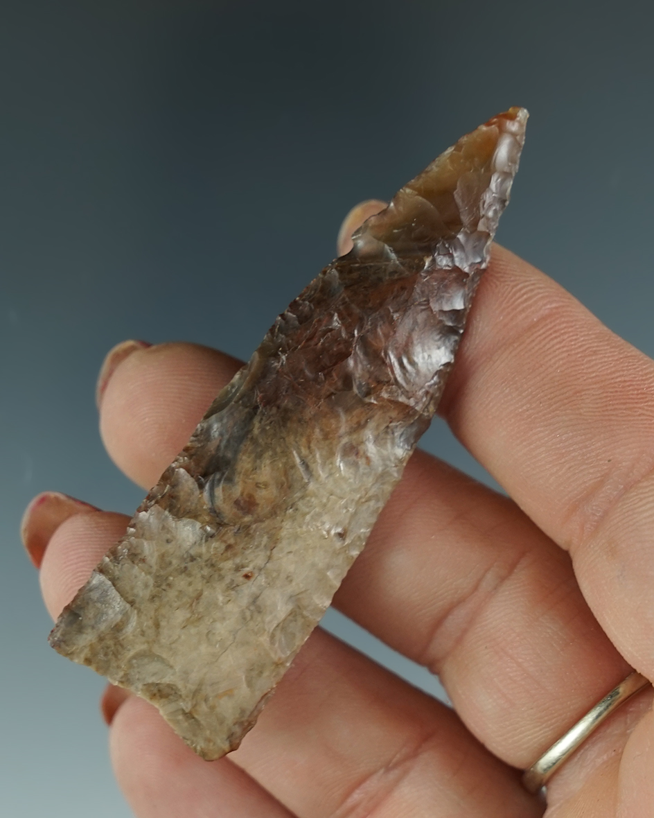 Rare style! 2 9/16" Early Eared made from beautiful multi colored silicified wood - Columbia River.