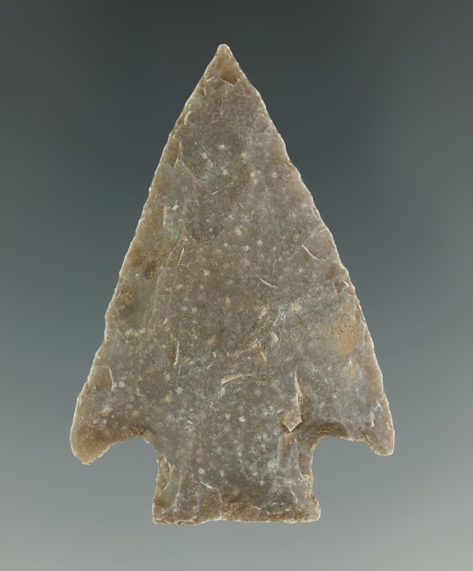 Ex. Museum! Excellent flaking and patina on this 2" Marshall Point found in Texas.