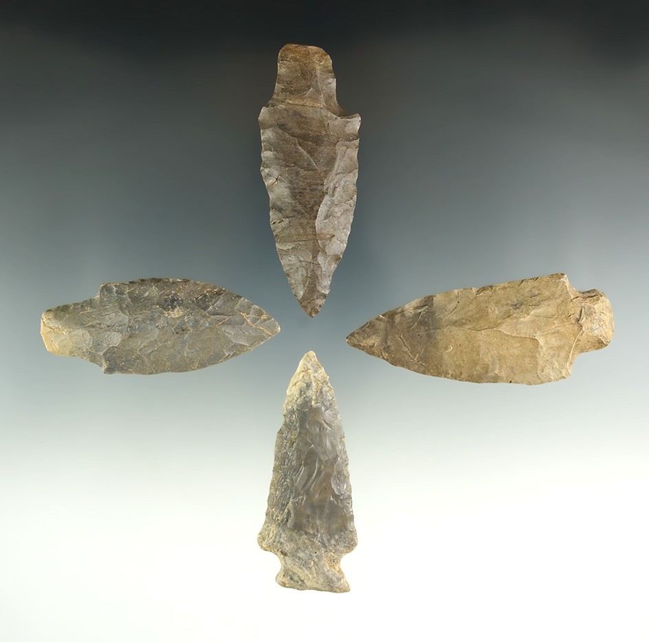 Group of four assorted points found in Tennessee in nice condition, largest is 2 7/8".