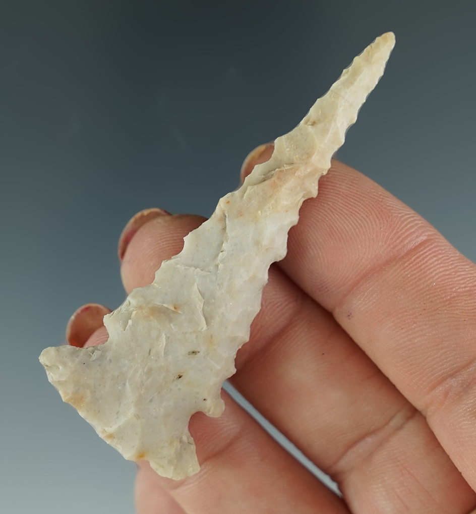 Ex. Museum! Incredible serrations on this 2 1/2" Ensor Point found in Texas.