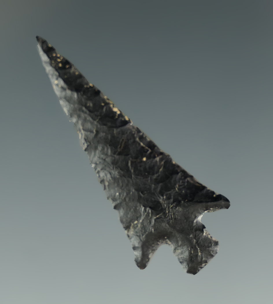 1 1/4" Columbia Plateau that is very nicely flaked found near the Columbia River.