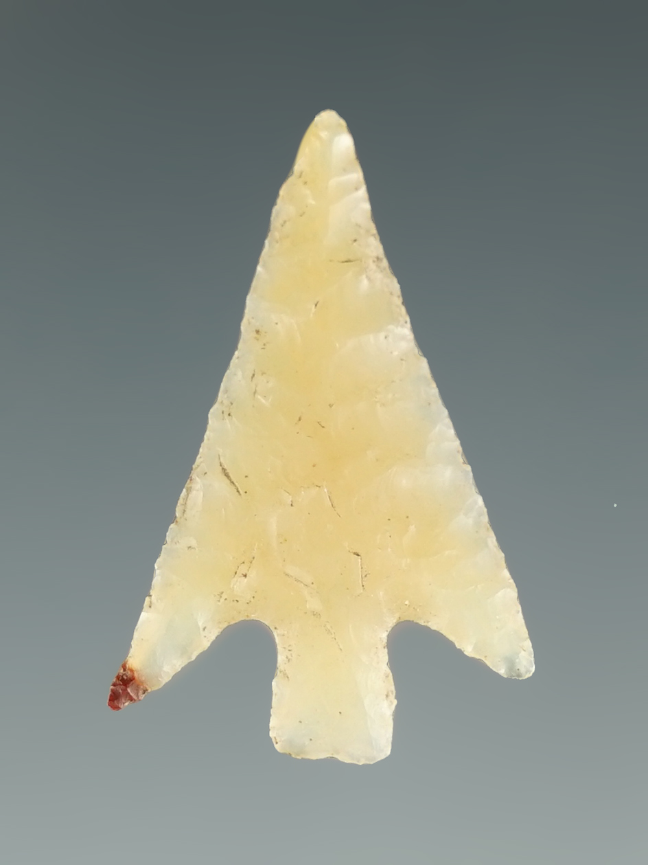 7/8" Wallula with exceptional flaking made from semi-translucent Chalcedony - Columbia River.