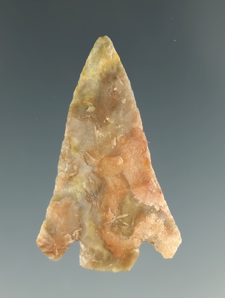 1 1/2" Quilomene Bar found near Vantage, Washington made from beautiful multi-color silicified wood.