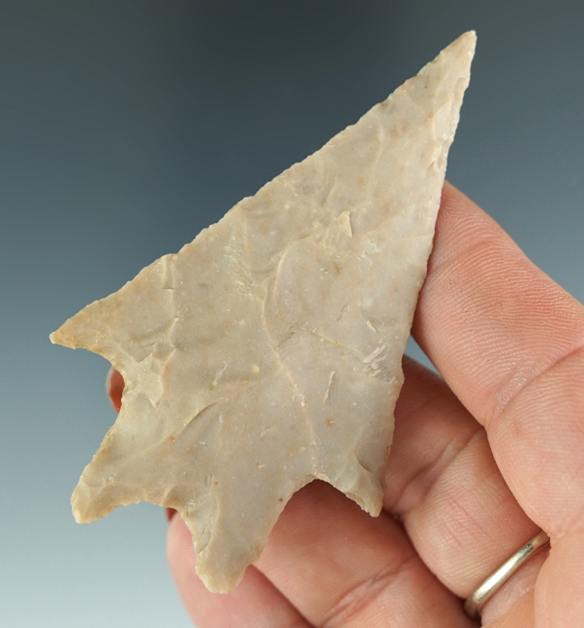 Ex. Museum! 3" Pedernales Point found in Texas.