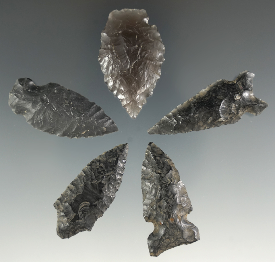 Set of five assorted Obsidian arrowheads found in Oregon, largest is 1 5/8".