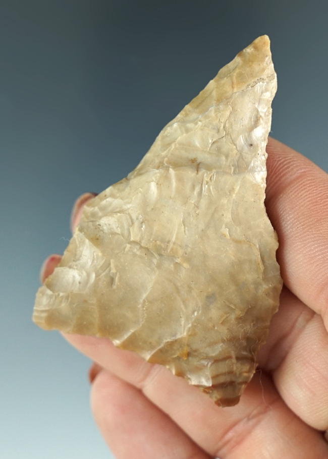 Nice! 2 5/16" Classic style Plateau Pentagonal found in Benton Co., Washington.