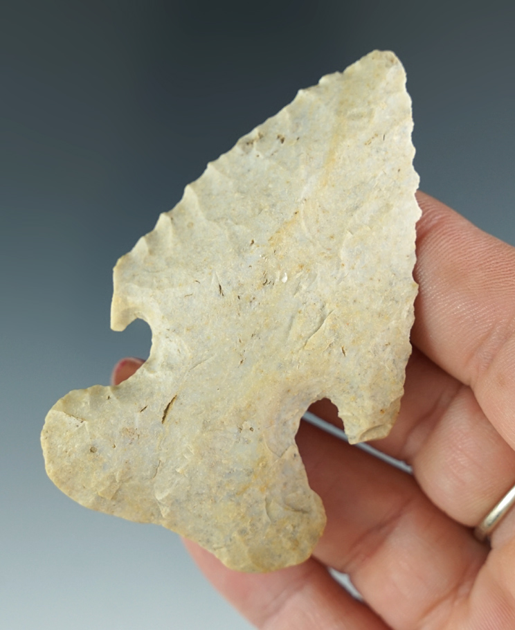 2 13/16" Large base Archaic Thebes Bevel found in Illinois.