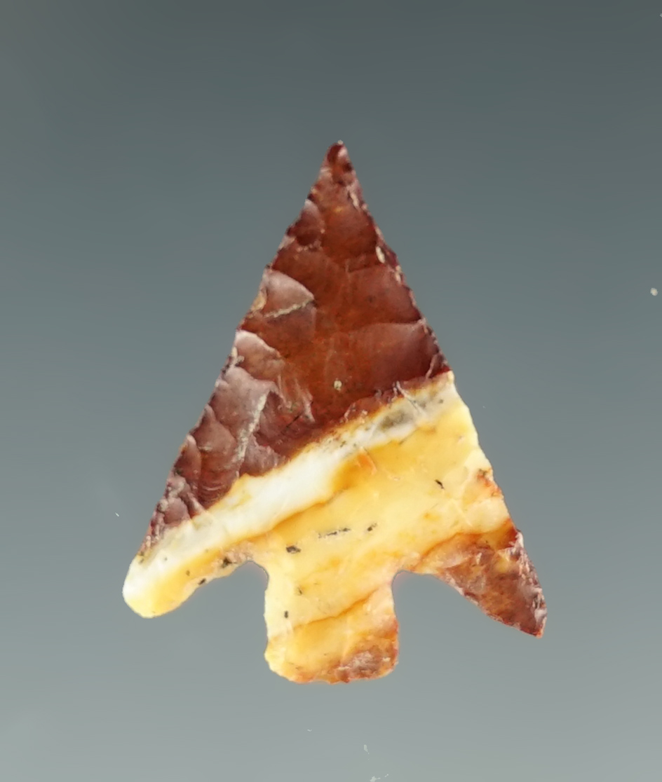 3/4" Columbia River Gem  that is beautifully flaked, made from beautiful multi-colored Jasper.