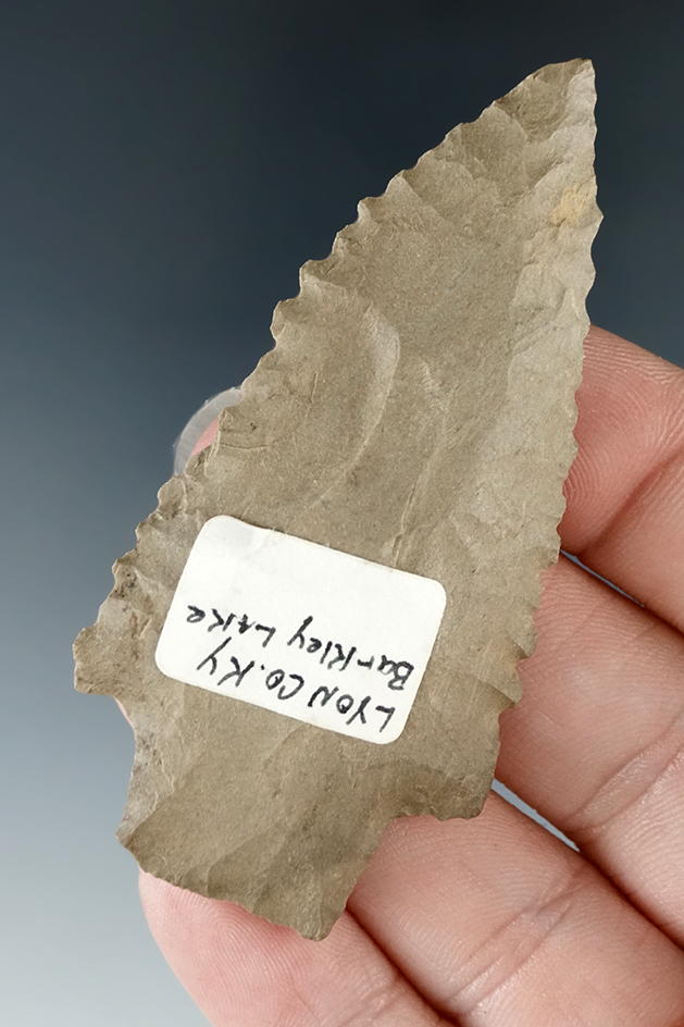 2 11/16" Stemmed Serrated Knife found in Lyon County Kentucky.