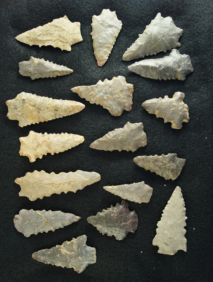 Excellent frame of 17 nice serrated Kirk points found in Kentucky. Largest is 3".