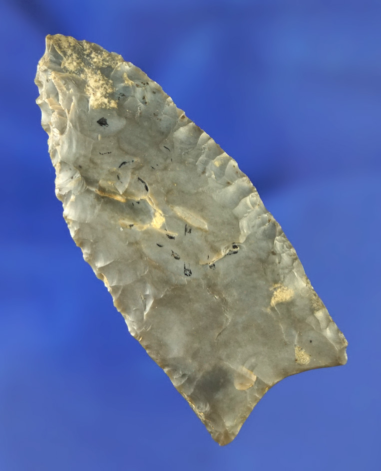 2 9/16" Paleo Fluted Clovis found near the green River, Kentucky.