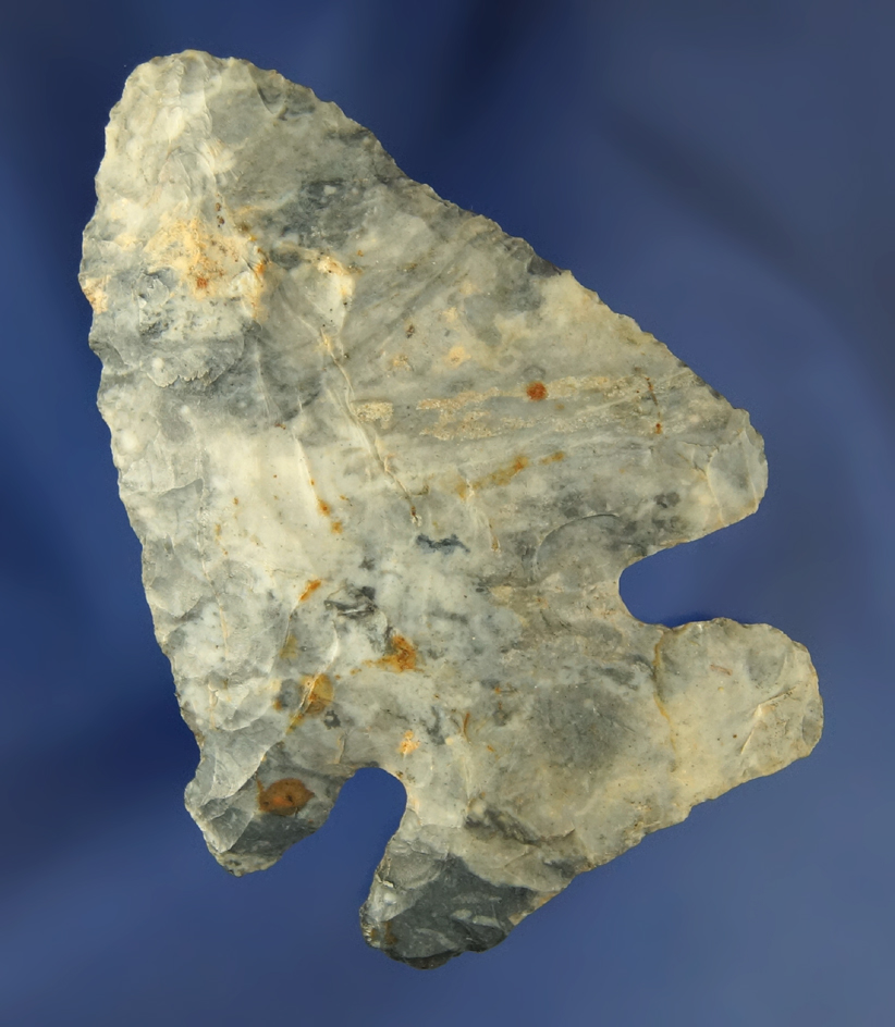 2 3/4" Archaic Thebes Bevel found in Knox Co.,  Ohio made from colorful blue Coshocton Flint.