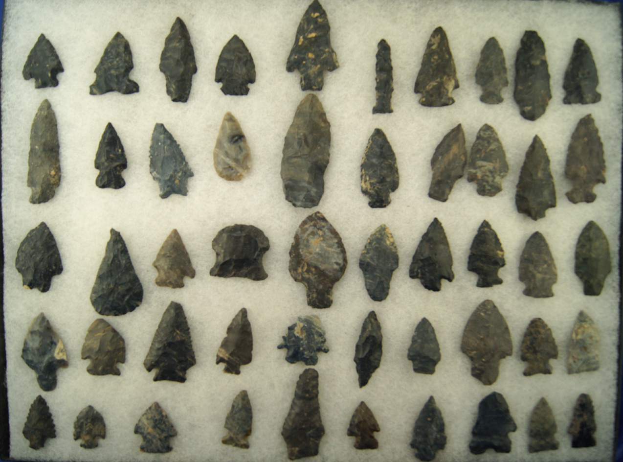 Set of 50 Assorted Coshocton Arrowheads found in Ohio, largest is 2 3/4".