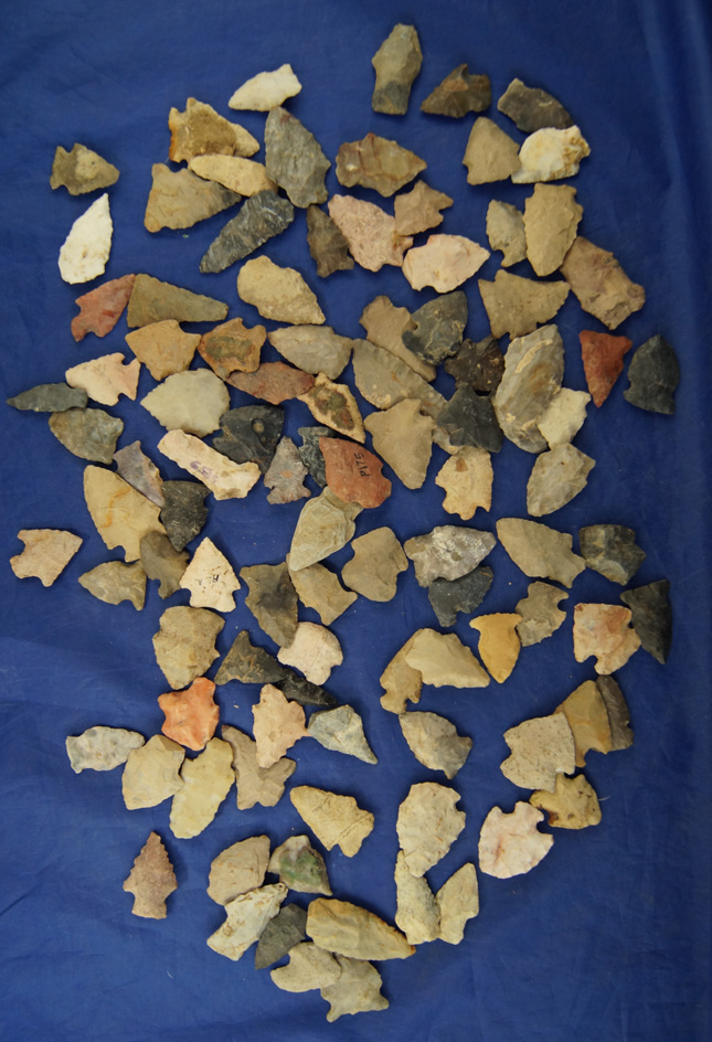 Group of 100 Assorted Arrowheads found in Williams Co., Ohio. Most are in nice condition.