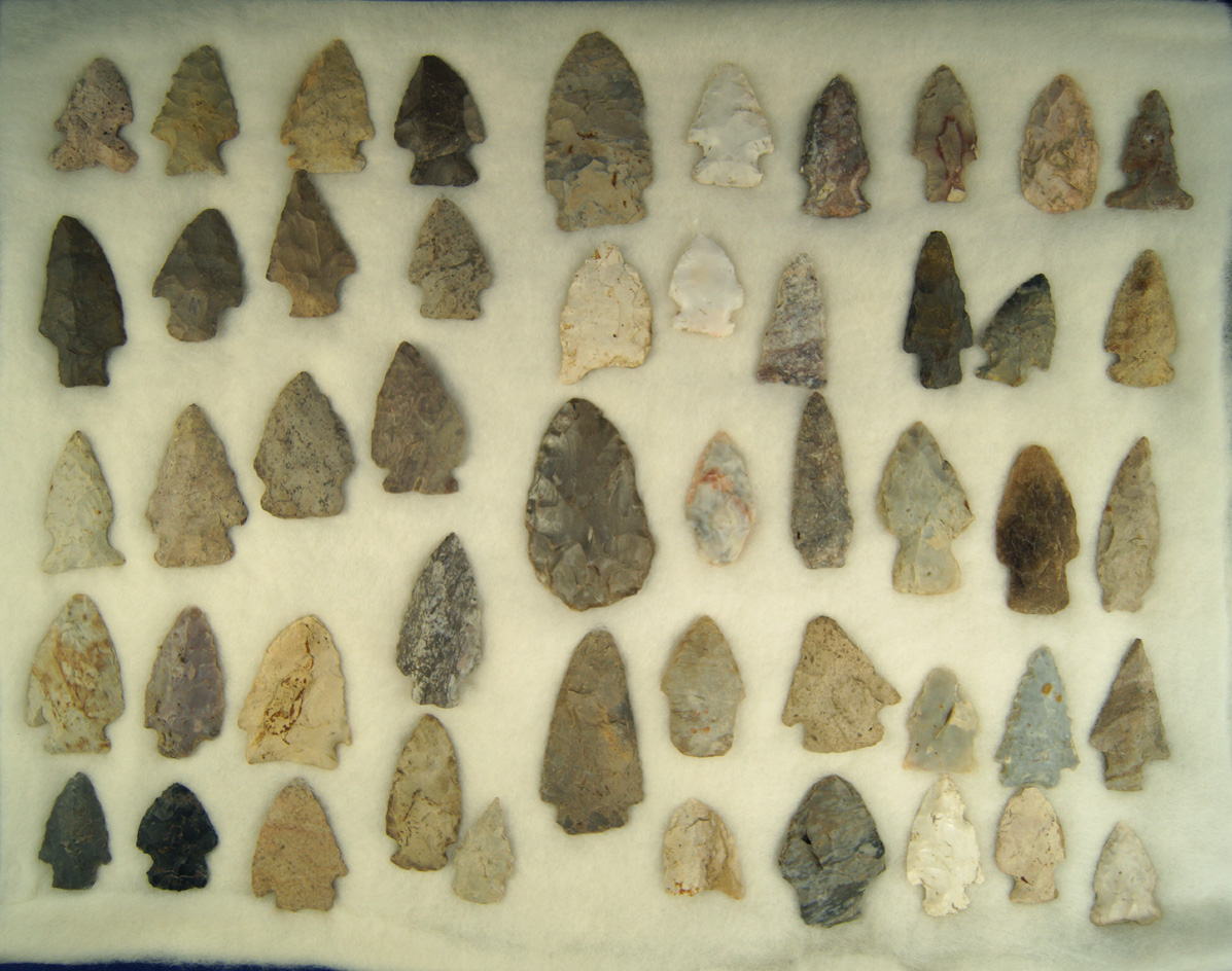 Group of 50 Assorted Arrowheads found in Williams Co., Ohio, largest is 2 1/2".