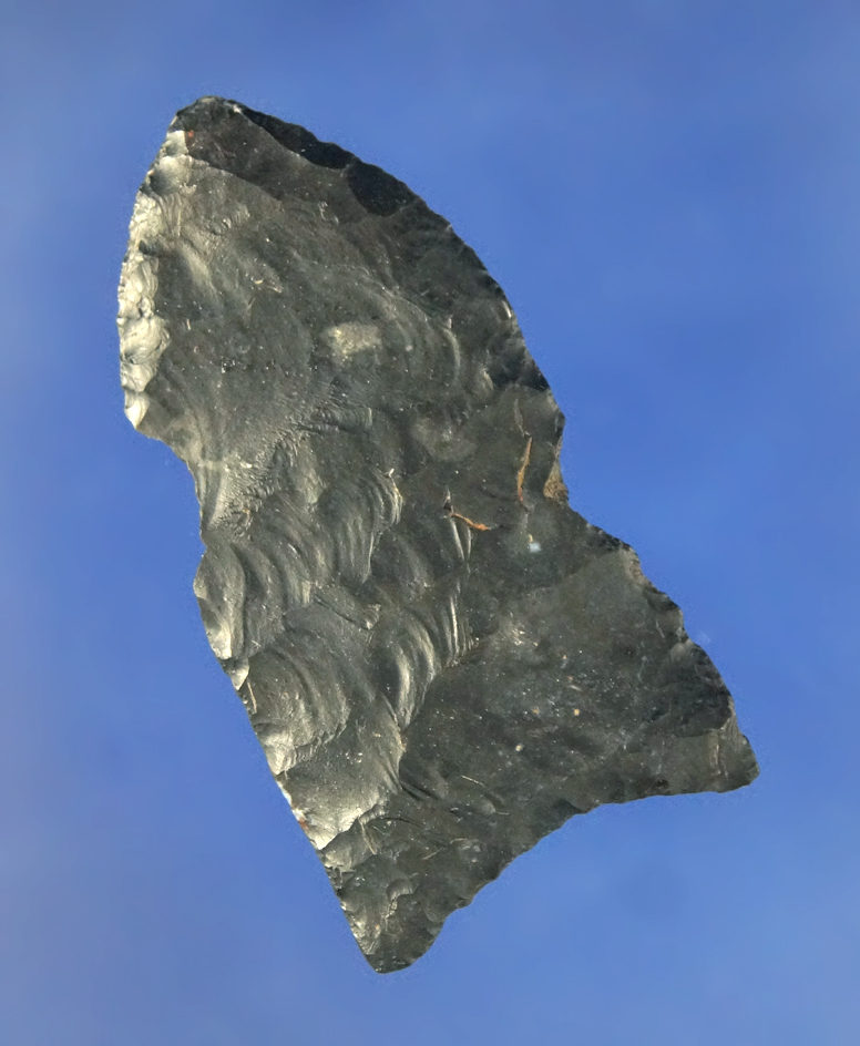 1 13/16" Black Zaleski Flint Clovis found in Ohio comes with a Davis COA.