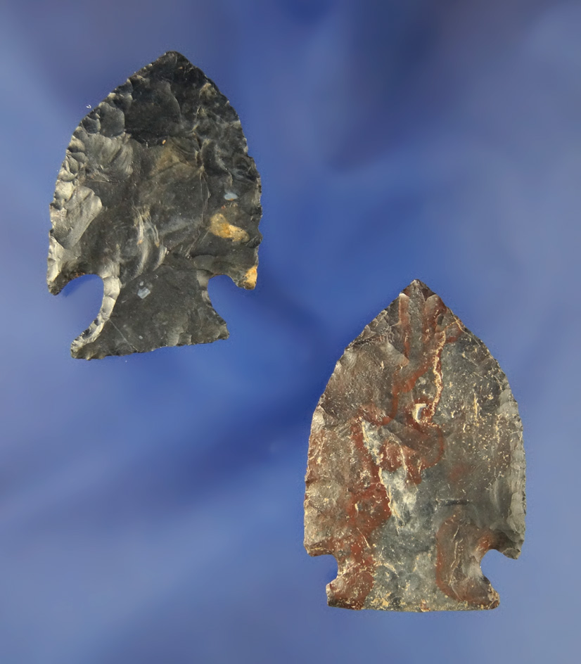 Pair of Coshocton Intrusive Mount points found in Huron Co.,  Ohio. Largest is 1 3/4".