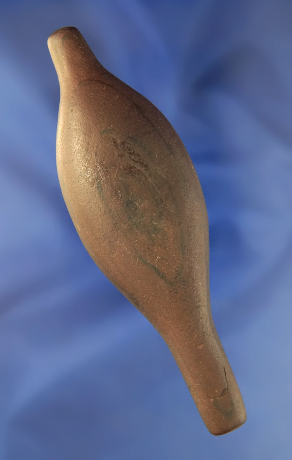 4 5/8" red banded slate Lizard found in Putnam Co.,  Ohio.