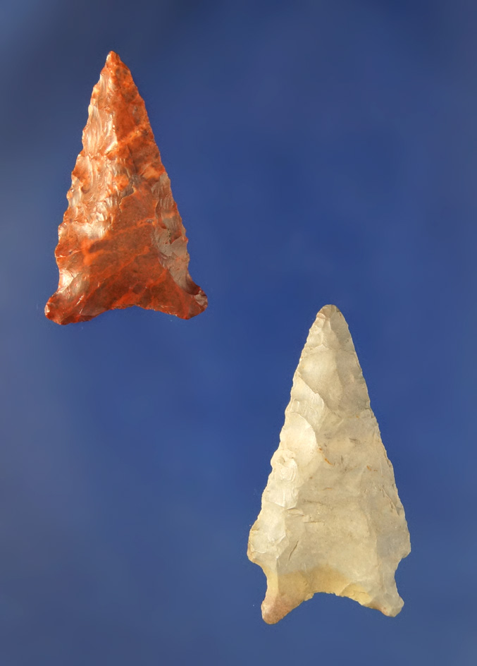Pair of beautifully flaked Dart Points, one very colorful red. Largest is 1 1/2".