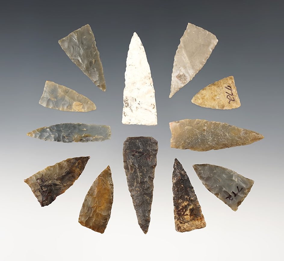 Set of 12 nice Guntersville points - Dan Stroud collection. Ex. Tom Davis. Largest is 1 7/8".