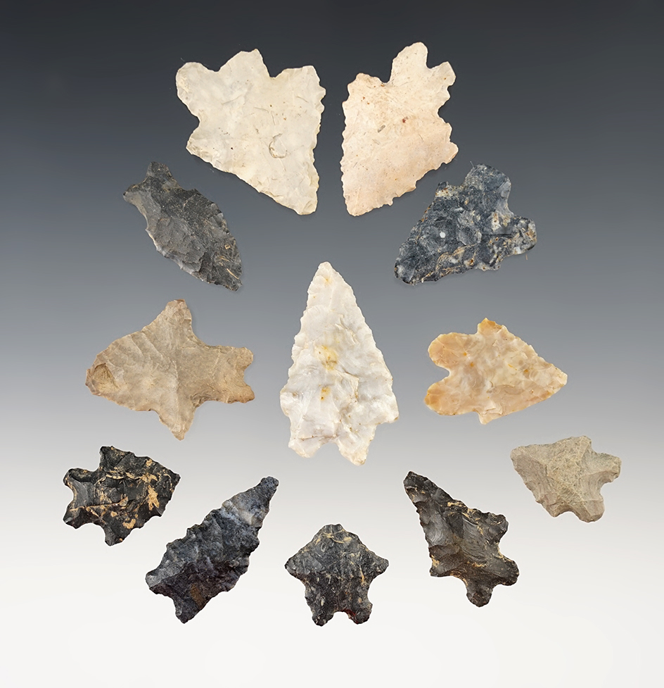 Set of 12 nice Ohio Bifurcates. The largest is 1 9/16".