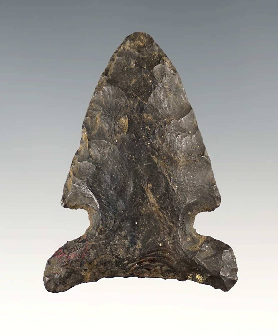 Well patinated 2 5/16" Archaic Sidenotch found in Tuscarawas Co., Ohio.