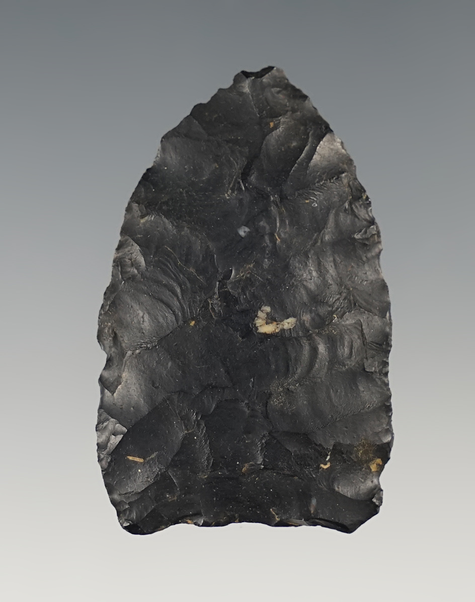 1 7/8" Paleo Lanceolate Point found on the Malone Farm in Stark Co., Ohio. 