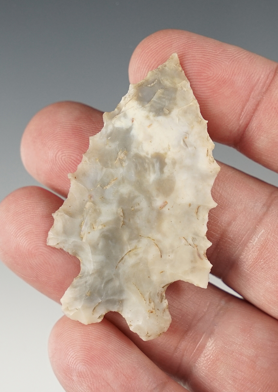 2 3/16" Bifurcate - extremely fine workmanship, a needle tip & nice serrations. Wayne Co., OH.