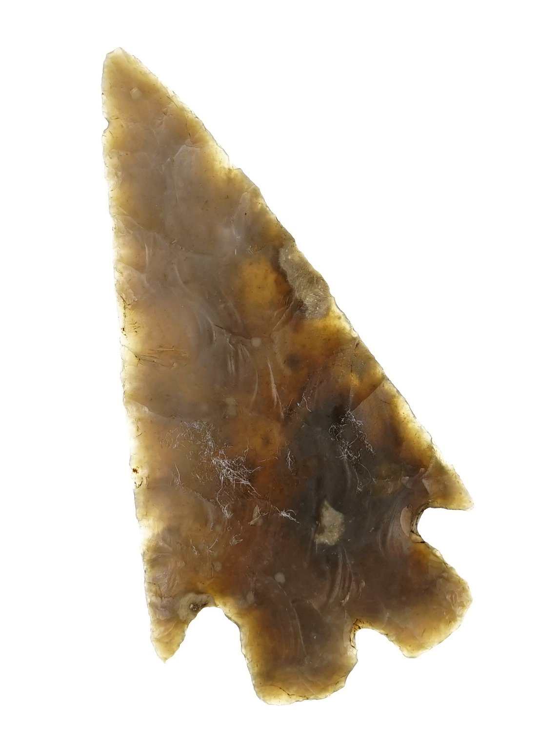 2 13/16" Montell that is beautifully translucent. Found in Central Texas - Rogers COA.