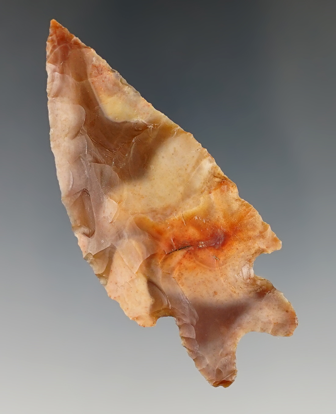 2 7/8" Pedernales found in Bandera Co., Texas. Rogers COA.