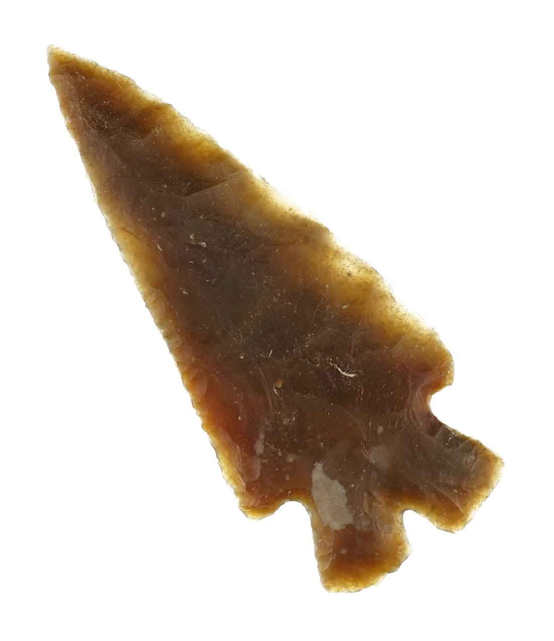 3 1/8" Montell found in Real Co., Texas. Comes with a Rogers COA.