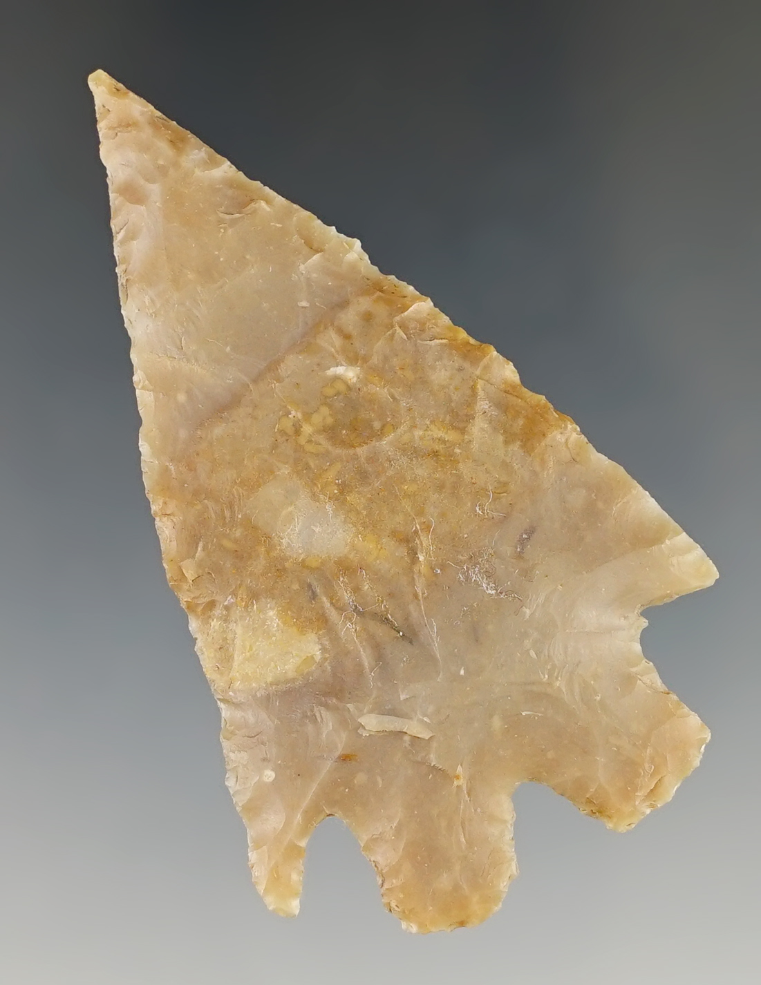 2 7/16" Montell found in Central Texas. Comes with a Rogers COA.