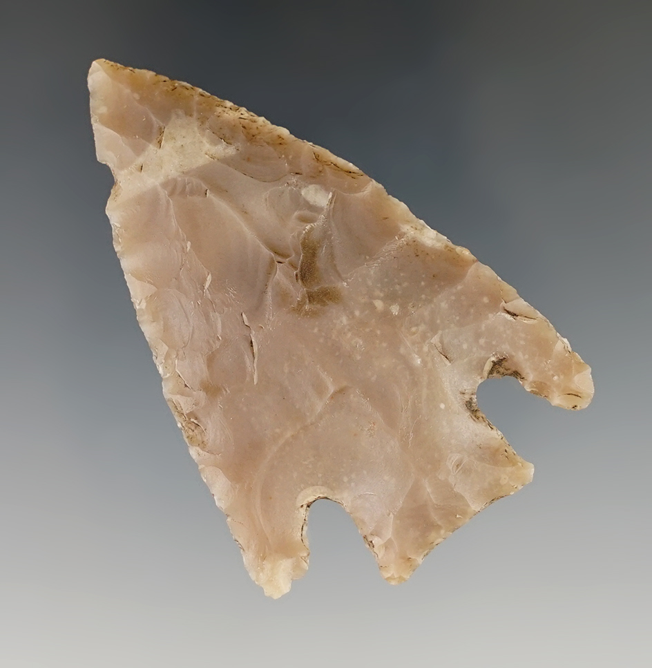 2 1/2" Marshall found in Hays Co., Texas. Comes with a Rogers COA.