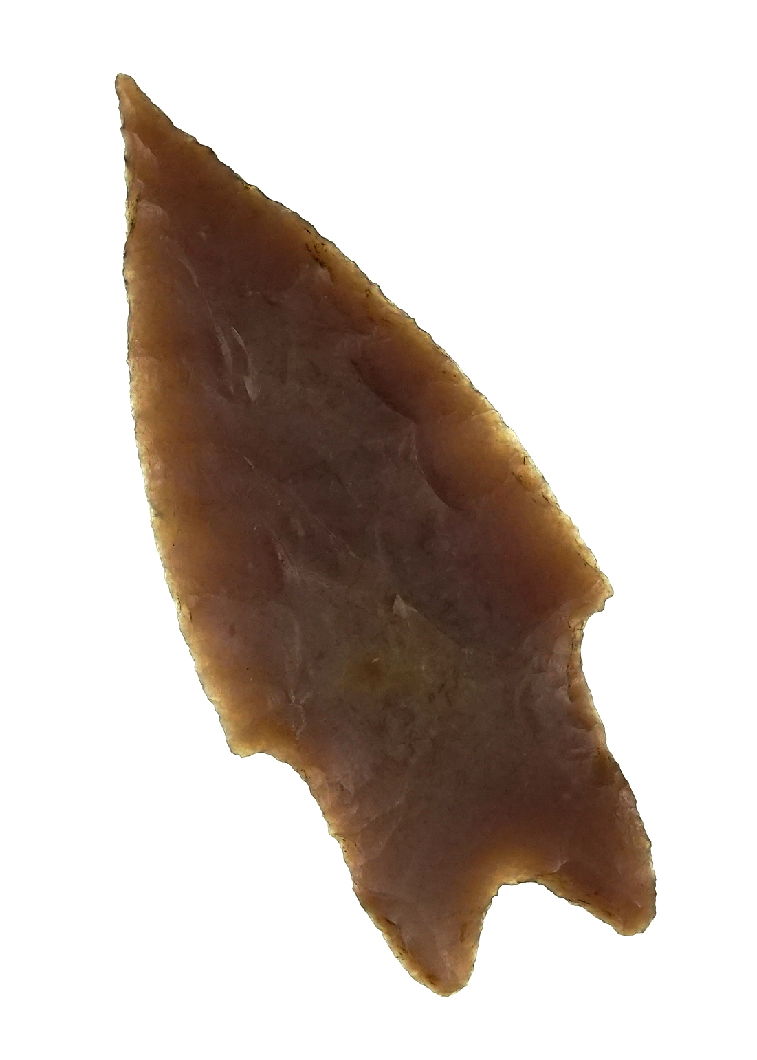 Nicely styled 3 3/16" Pedernales found in Kimble Co., Texas. Rogers COA.