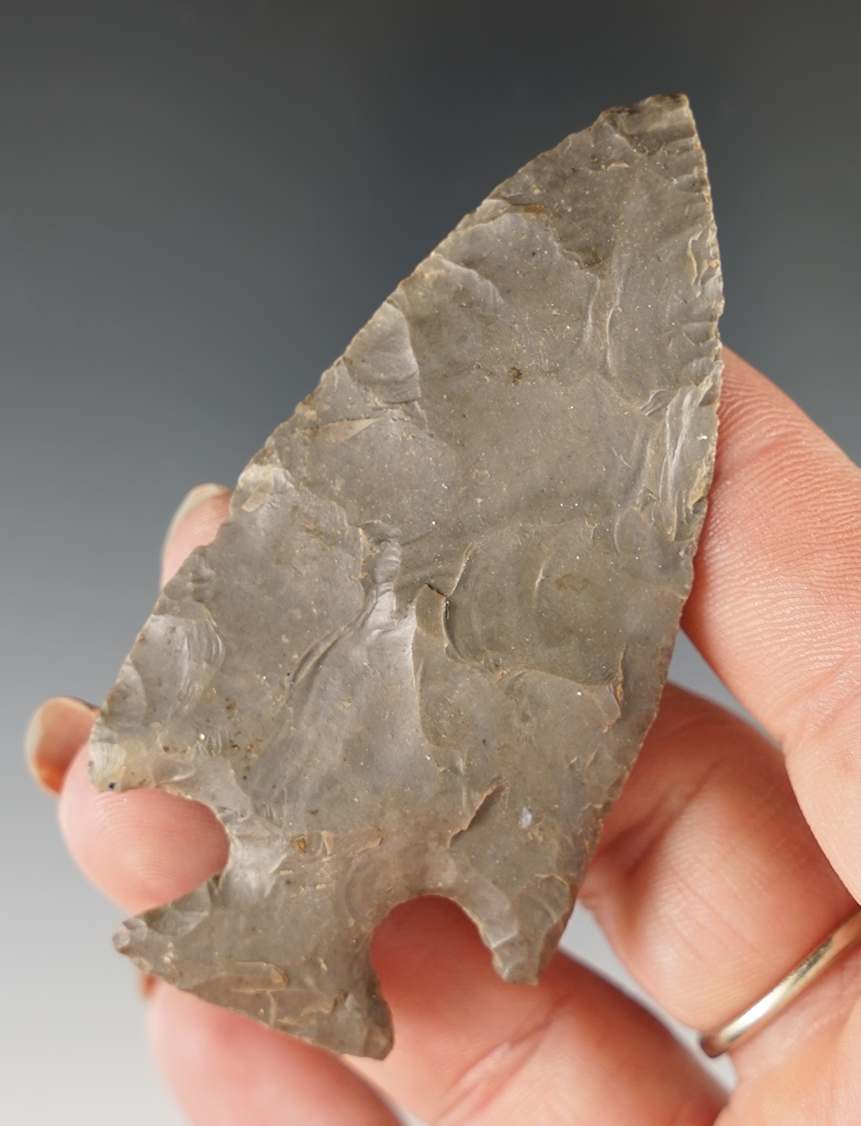 2 7/8" Hornstone Cornernotch Point, finely made. Found in Kentucky.