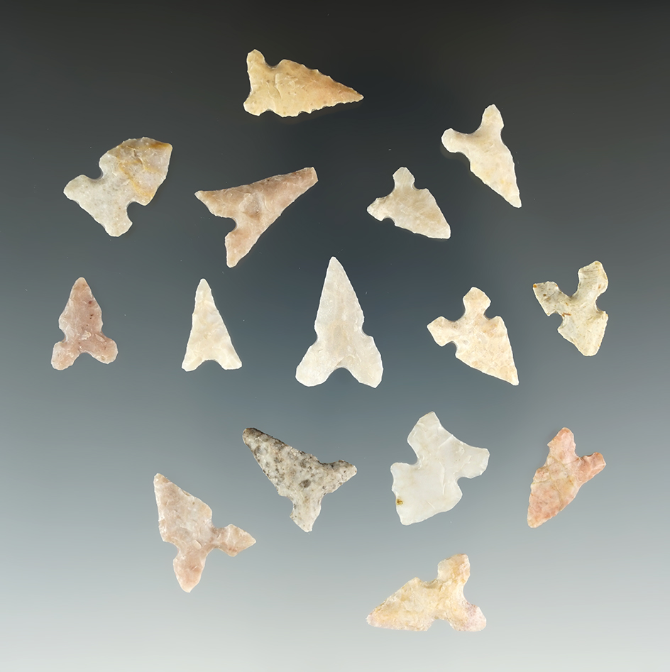 Set of 15 Texas Bird Points in excellent condition. Largest is 13/16".