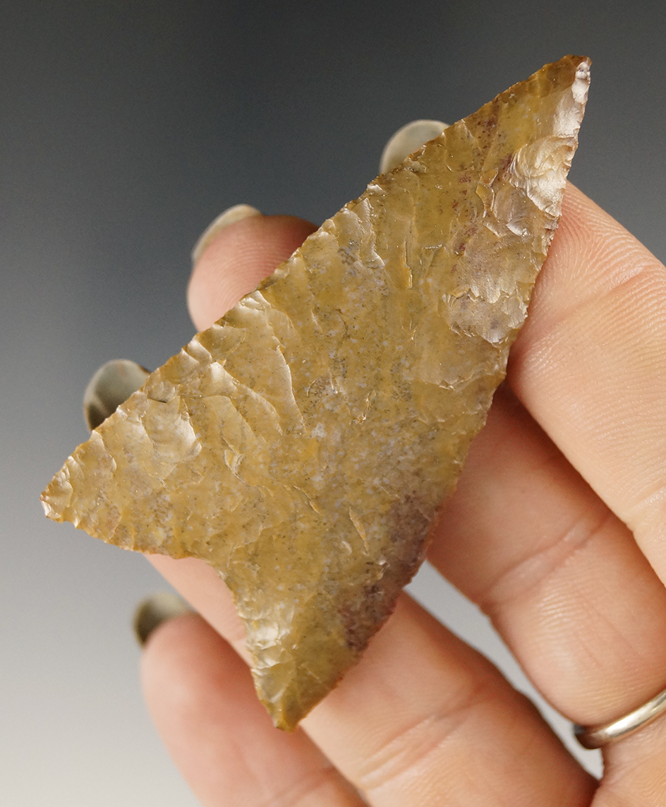 Fine 2 9/16" Mule Ear found near St. Johns, Multnomah Co., Oregon in 1949.