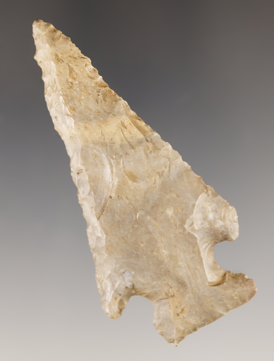 2 7/8" archaic beveled knife found by Joe Long in Crittenden County Kentucky.