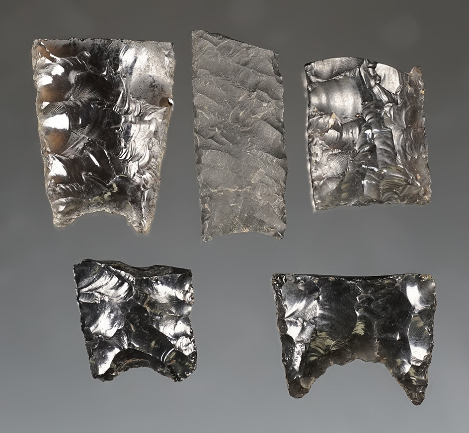 Group of five obsidian Paleo bases found in Oregon, largest is 1 5/16".