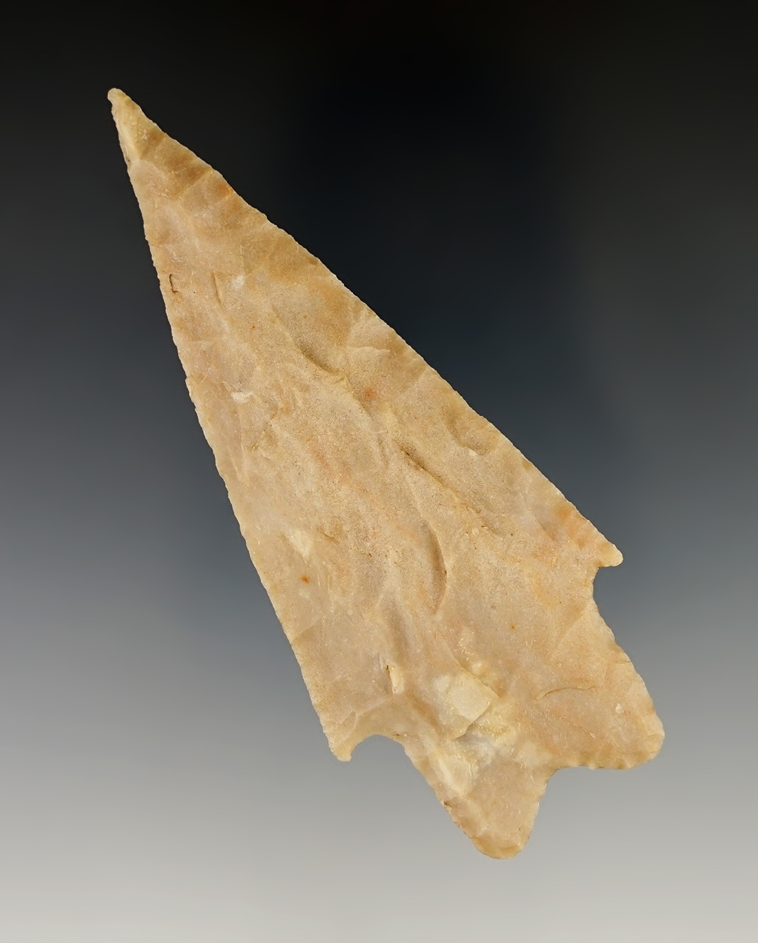 3 9/16" Pedernales found in Bandera Co., Texas. Rogers COA.