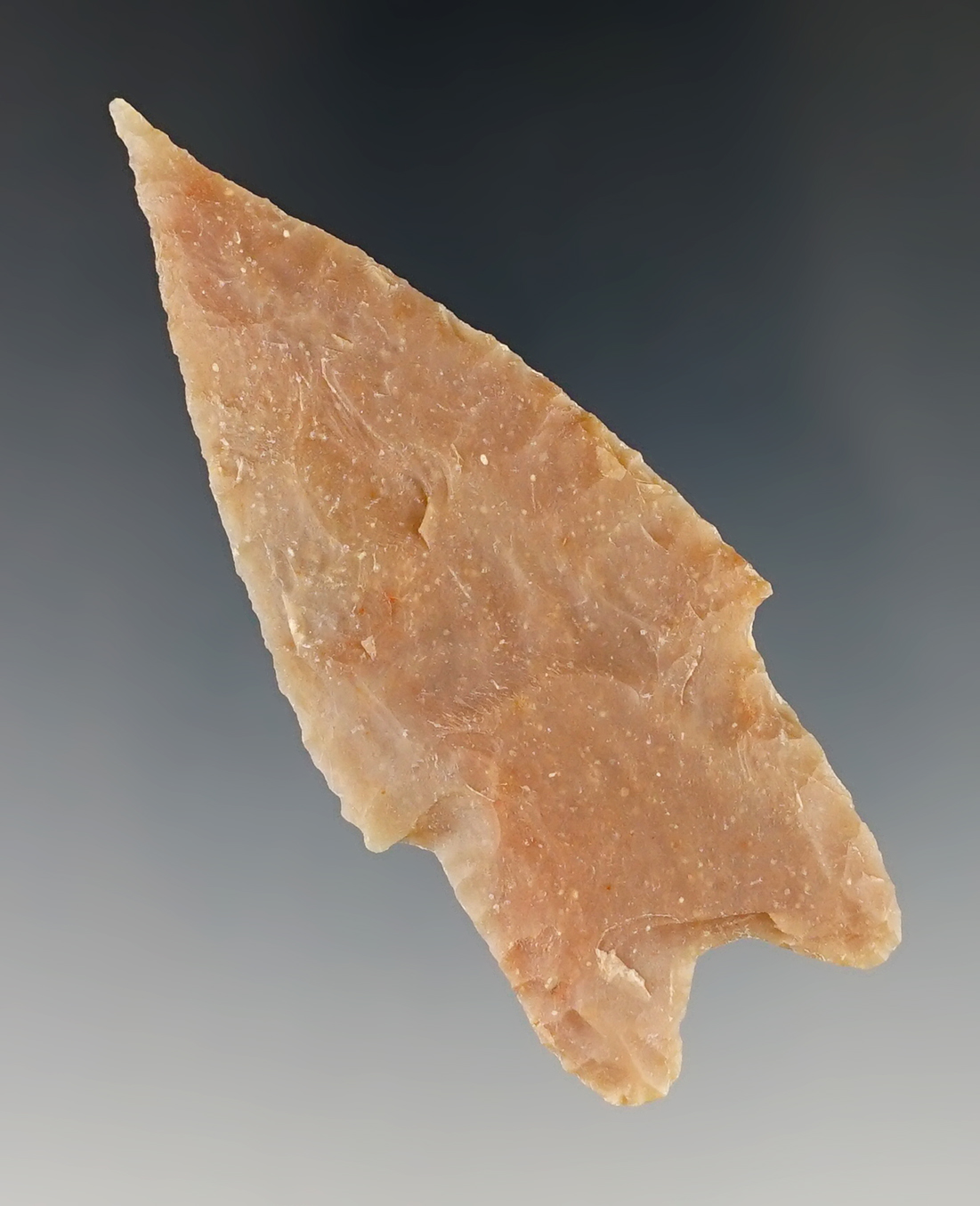 2 3/4" Pedernales found in Bandera Co., Texas. Rogers COA.