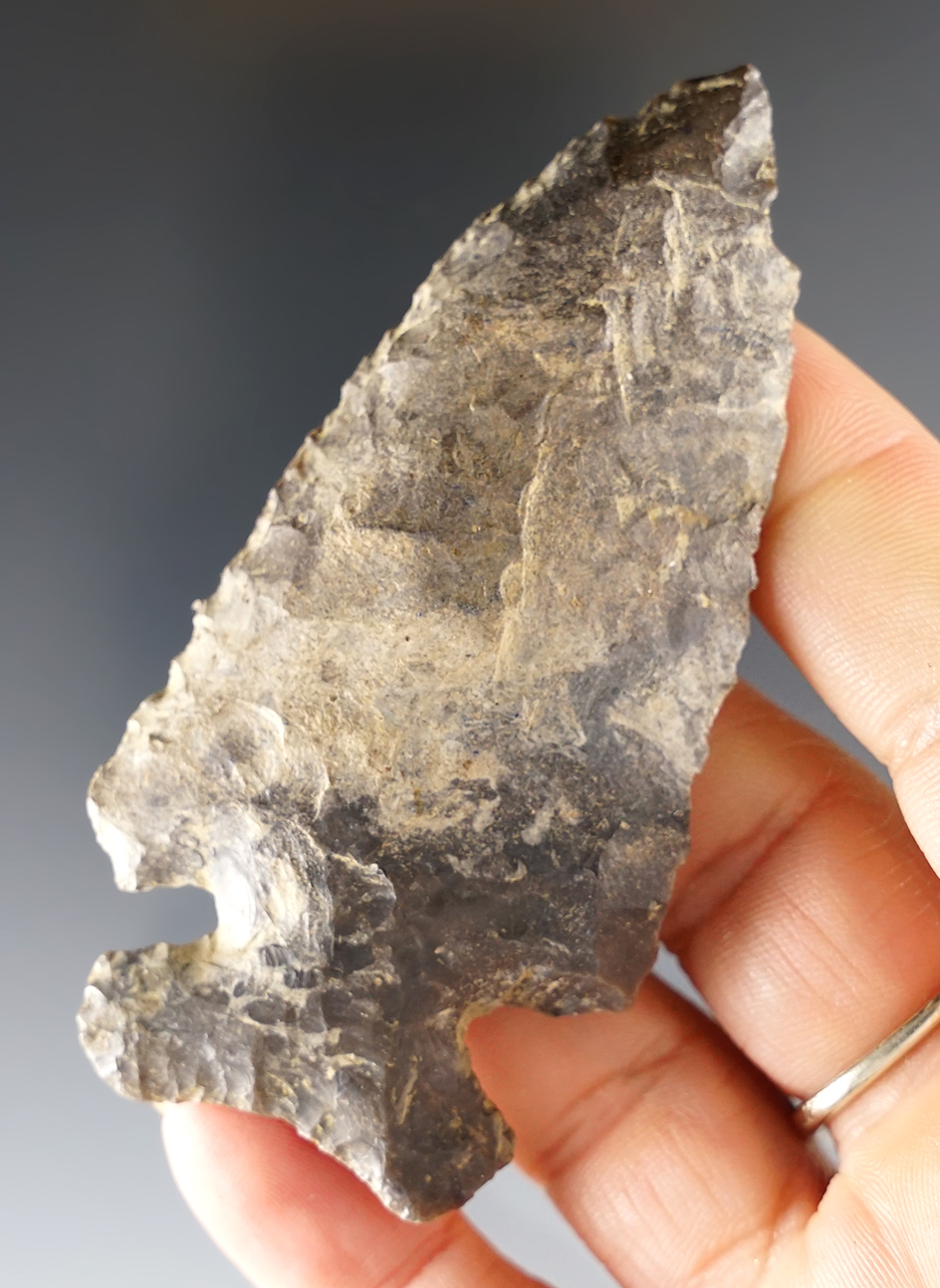 3 1/4" Ohio Thebes point in good condition. Ex. David Root collection.