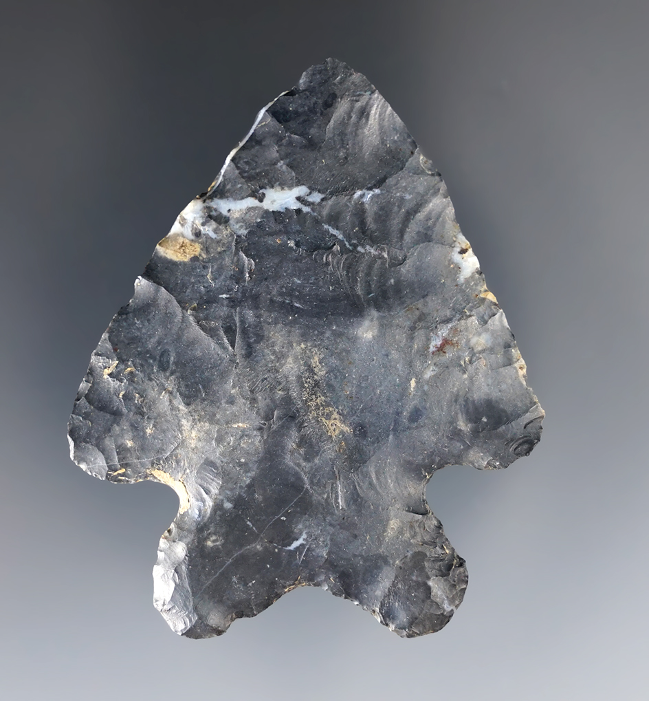 2 1/4" MacCorkle Bifurcate - Miami Co., Ohio. Ex Terry Elleman, George Armann collection. 