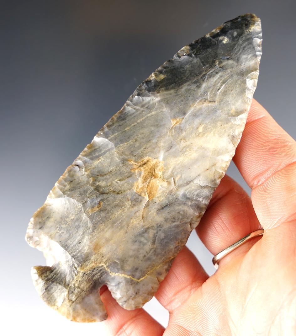 4 1/4" classic Ohio Dovetail. Found in Highland Co., Ohio. Comes with a Bennett COA.