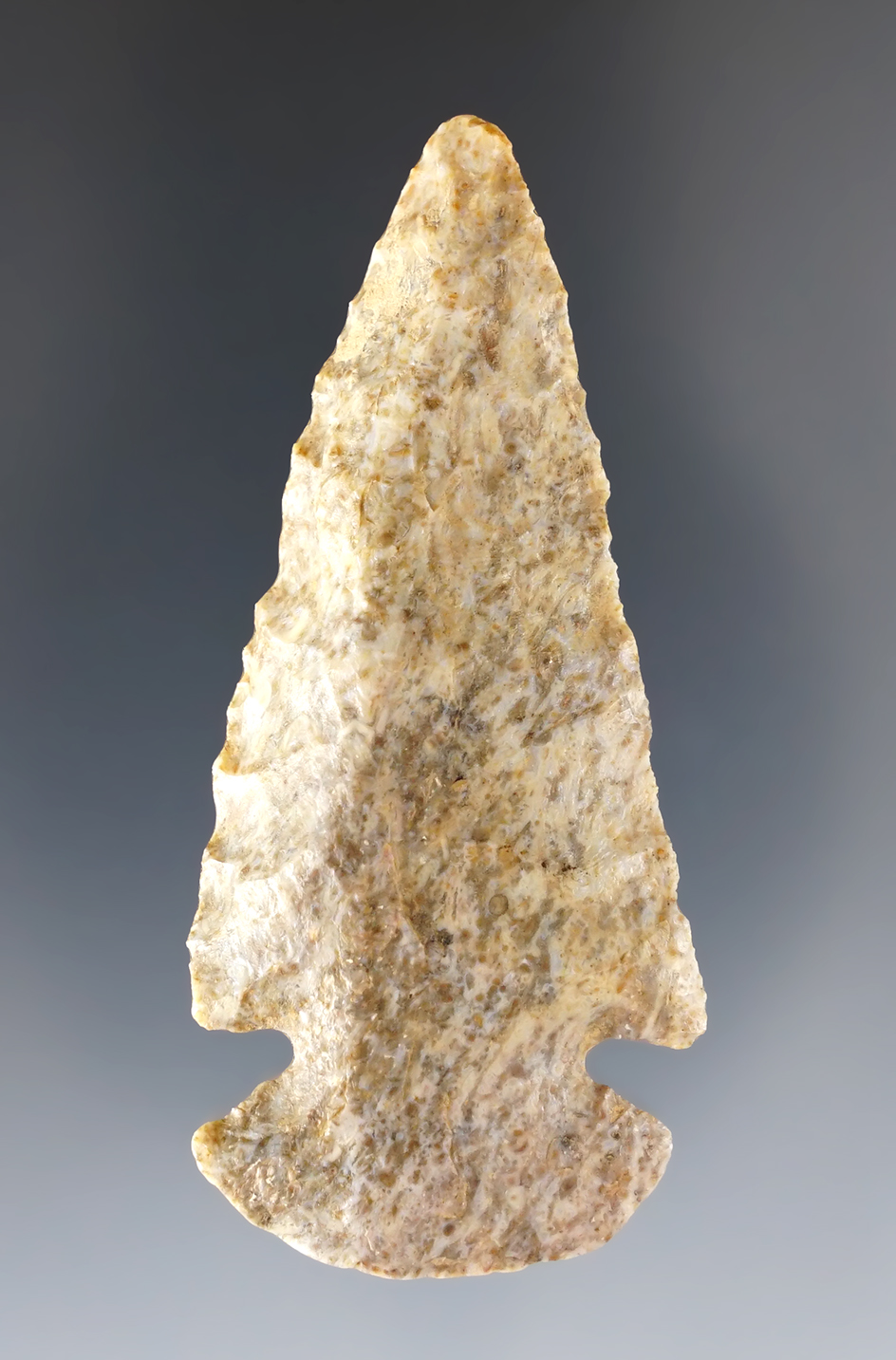 Steeply Beveled 2 9/16" Dovetail found in Ross Co., Ohio. Made from Harrodsburg Chert.